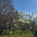 Monte Arso -etna Sud Est- Horská chata