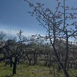 Monte Arso -etna Sud Est- *
